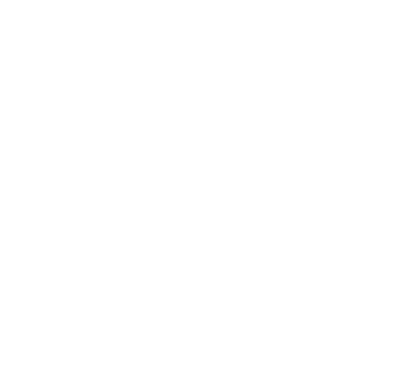 DynaRoom